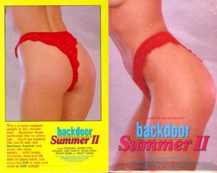 Backdoor Summer 2 (1989)